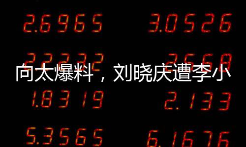 向太爆料，劉曉慶遭李小冉激烈訓斥十分鐘——事件全解析