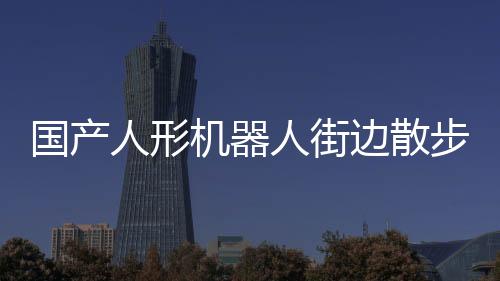 國產人形機器人街邊散步引熱議 最終售價預計15萬