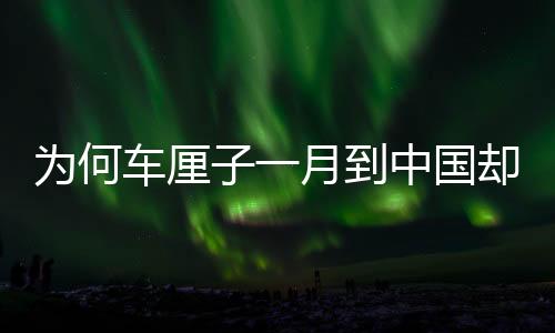 為何車厘子一月到中國卻不腐爛？揭秘跨境物流保鮮技術