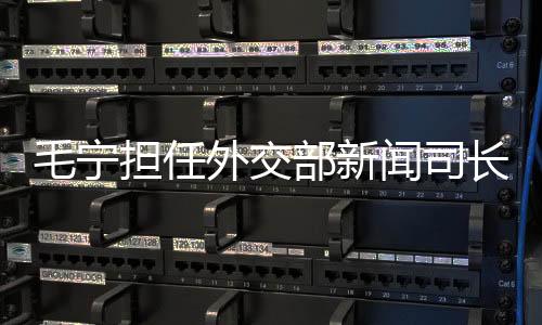 毛寧擔任外交部新聞司長，一展宏圖、二重戰略、三定方向、四項承諾、五大任務、六大亮點、七項行動、八方助力、九維視角、十足信心