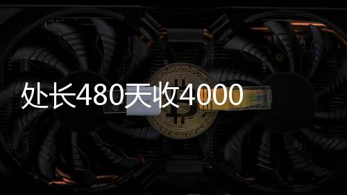 處長480天收4000萬，探究背后的故事與深意