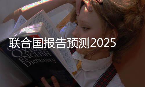 聯合國報告預測2025年全球經濟增長將維持在2.8%