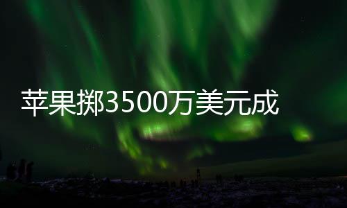 蘋果擲3500萬美元成立新公司 或?qū)⒂?025年推出AI手機(jī)