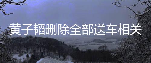 黃子韜刪除全部送車相關視頻，引發關注熱議